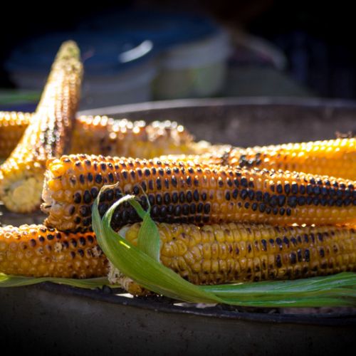 Hombres de maíz / Corn people